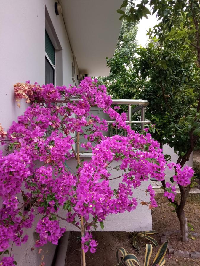 Apartamento Sofia'S Garden Néa Péramos Exterior foto